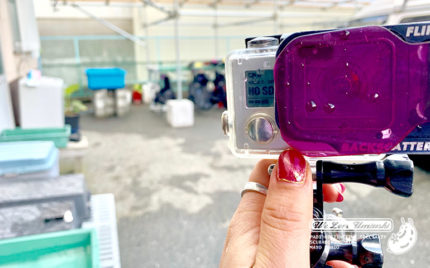 go pro