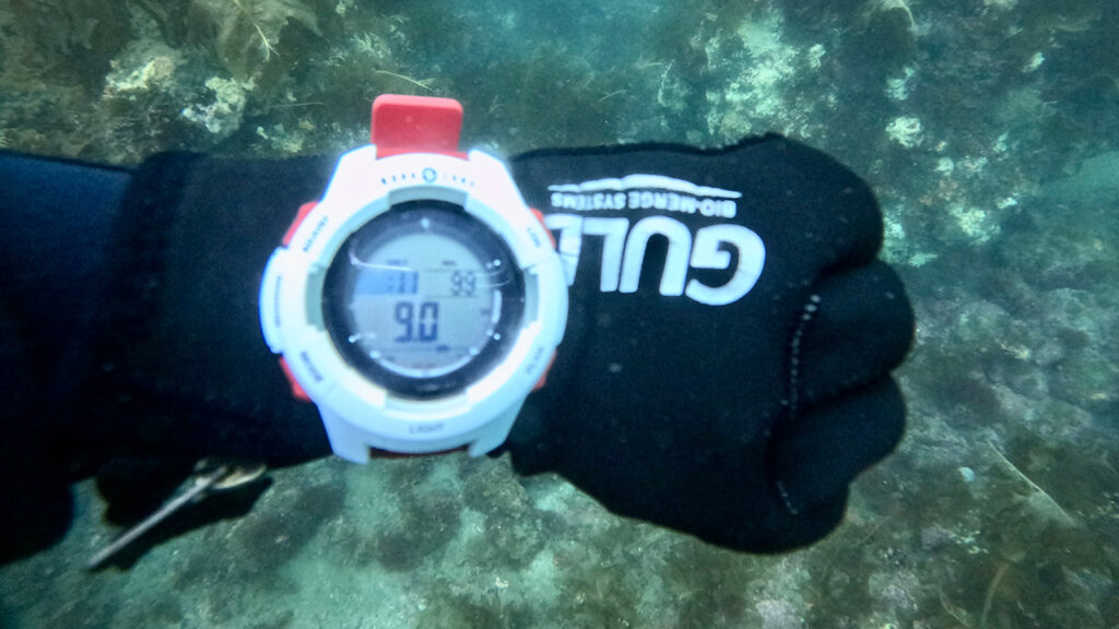 海データ