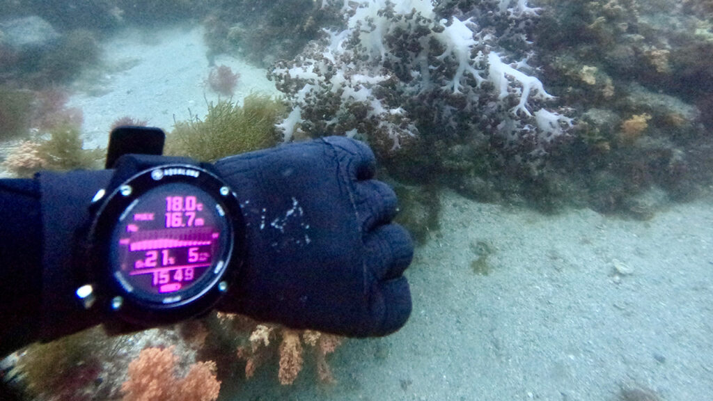 海データ