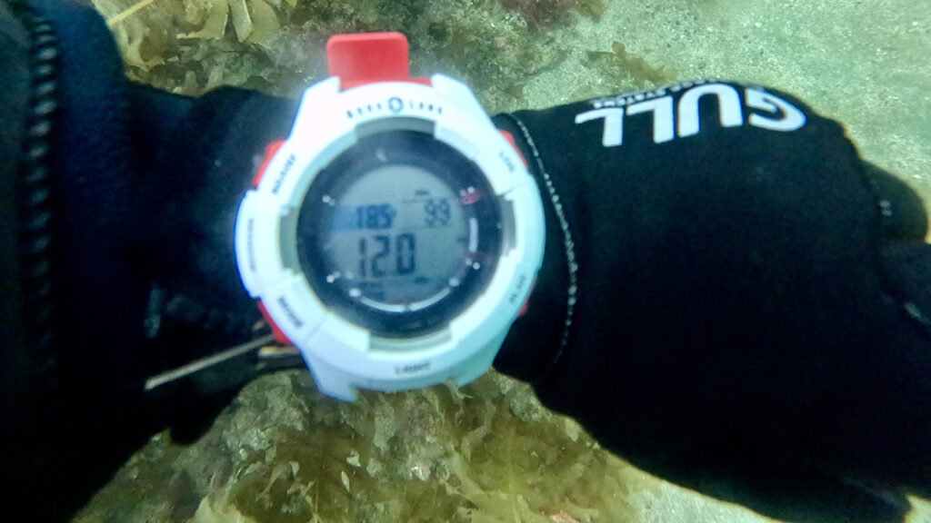 海データ