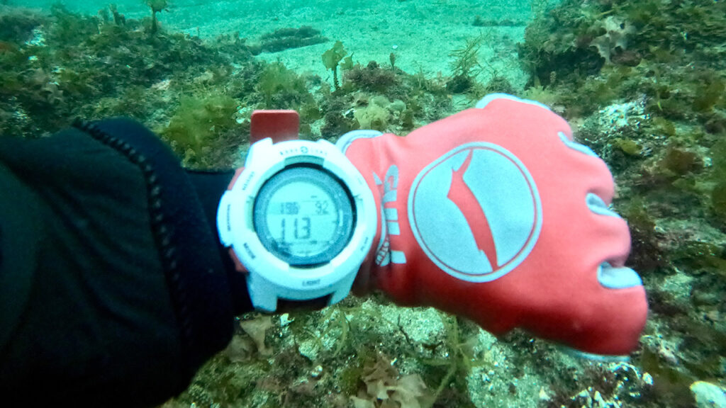海データ