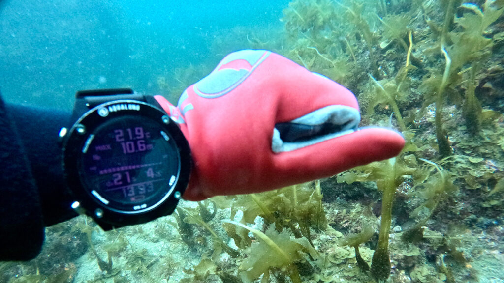 海データ