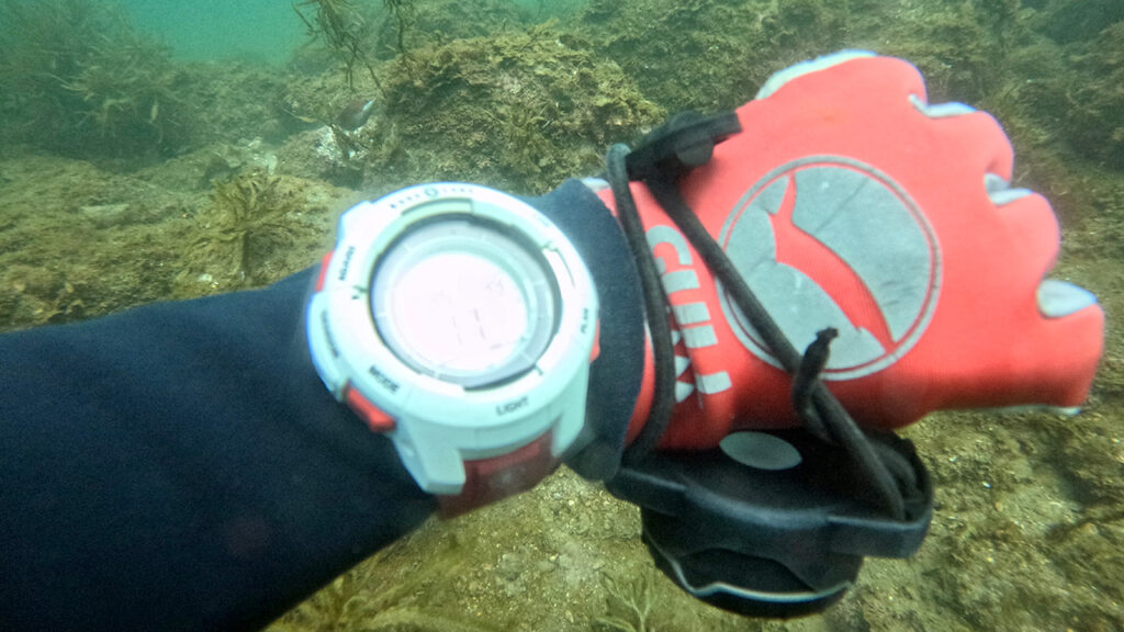 海データ